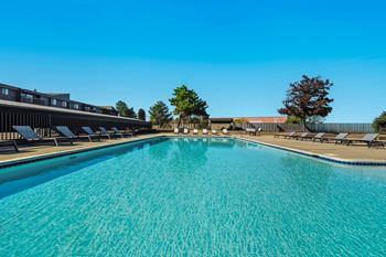 A large swimming pool with sun loungers and trees in the background.